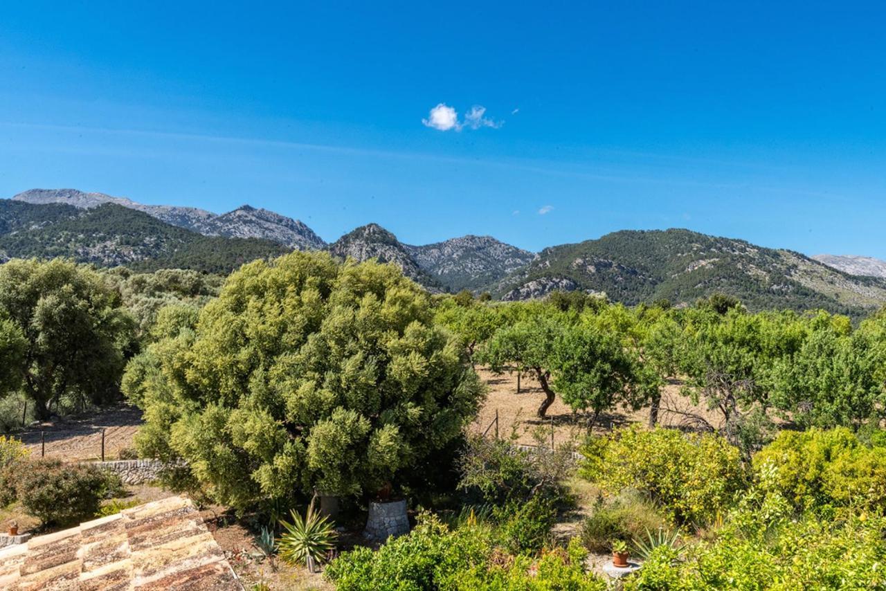 Finca Son Arnau Selva  Exteriér fotografie